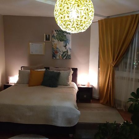 Apartament Alba House Alba Iulia Zewnętrze zdjęcie